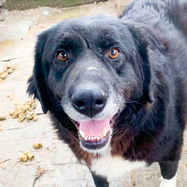 neues Foto März 2026