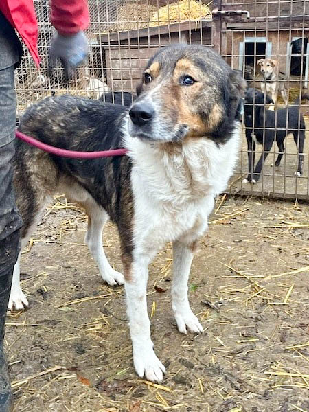 neues Foto März 2026