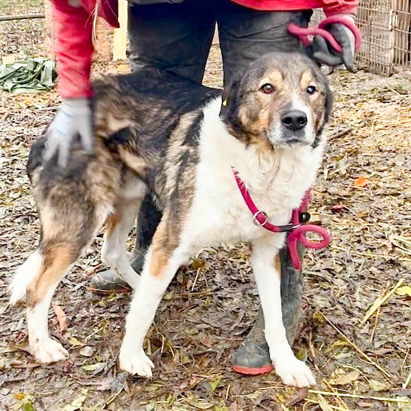 neues Foto März 2026