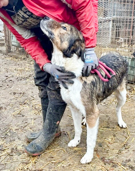 neues Foto März 2026