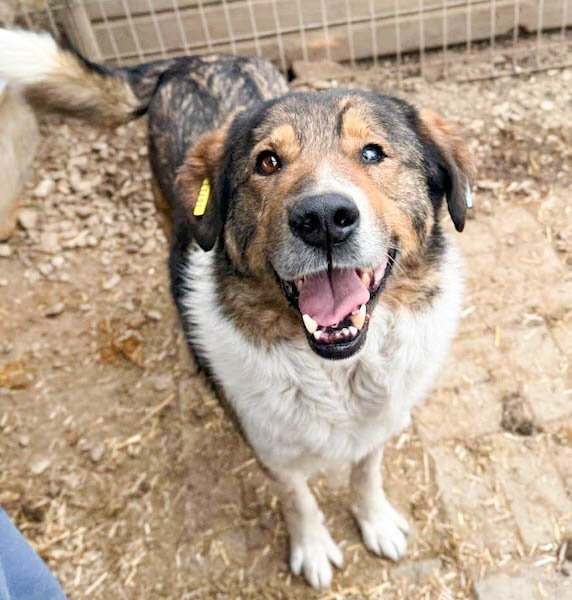 neues Foto März 2026