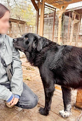 neues Foto März 2026