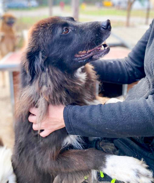 neues Foto März 2026