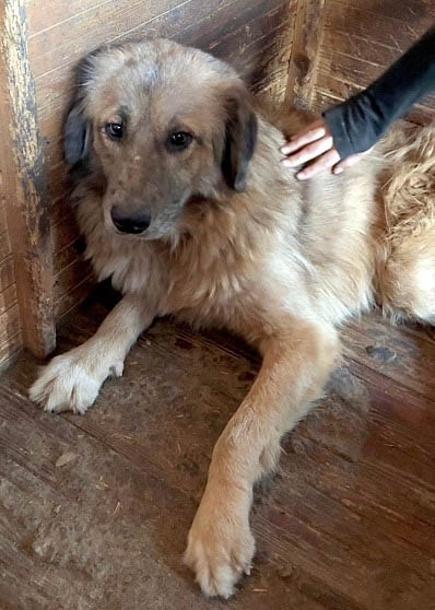 neues Foto März 2026