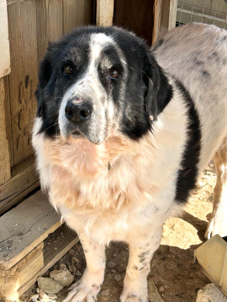 neues Foto März 2026