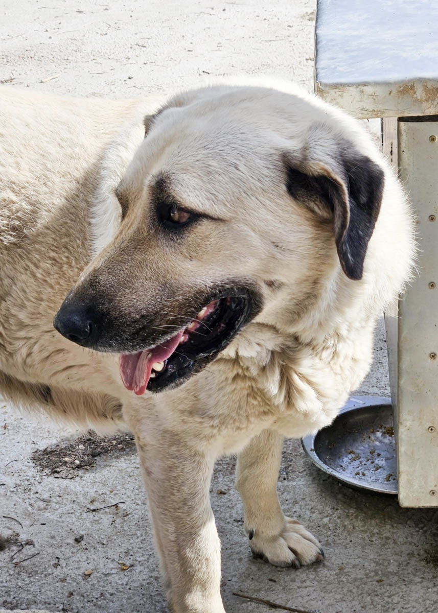 neues Foto März 2026