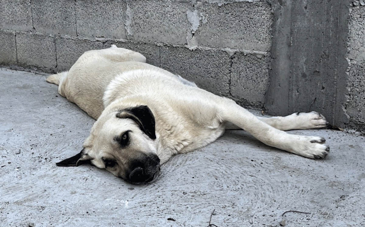 neues Foto März 2026