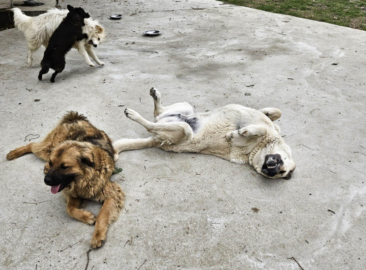 neues Foto März 2026