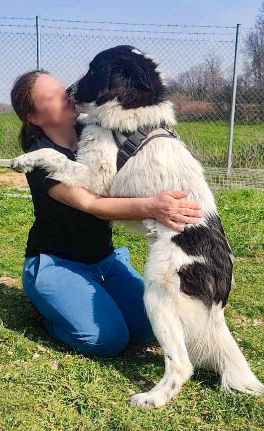 neues Foto März 2026