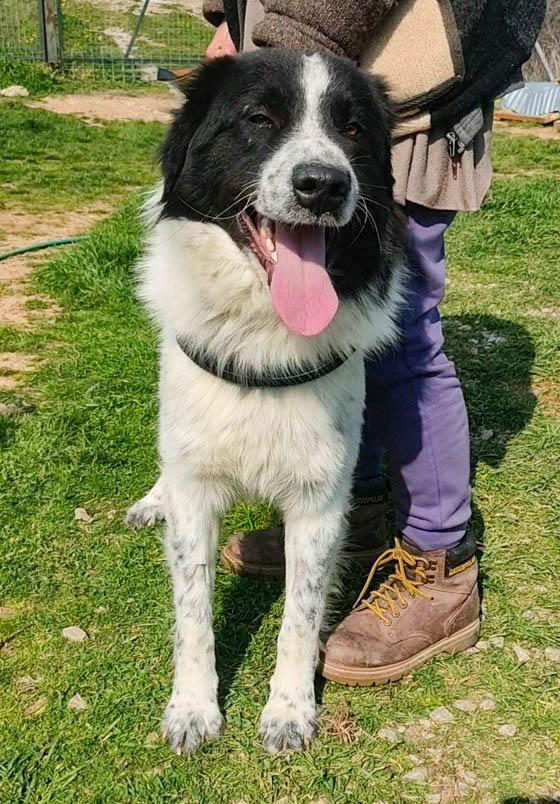 neues Foto März 2026