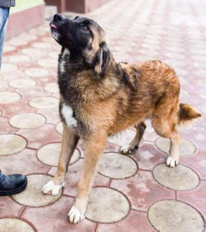 neues Foto März 2026