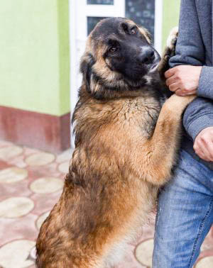 neues Foto März 2026