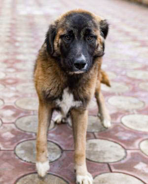 neues Foto März 2026