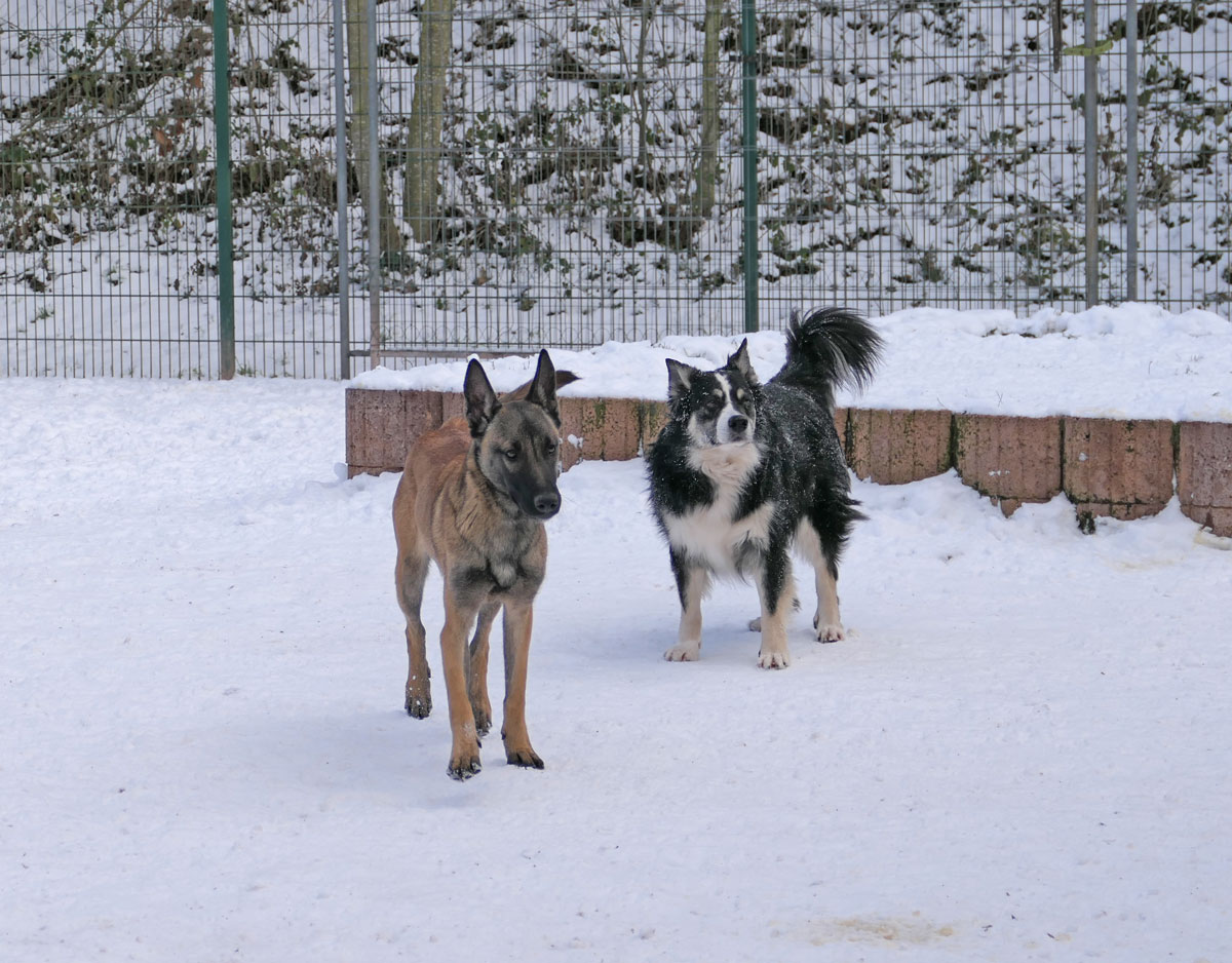 neues Foto März 2026