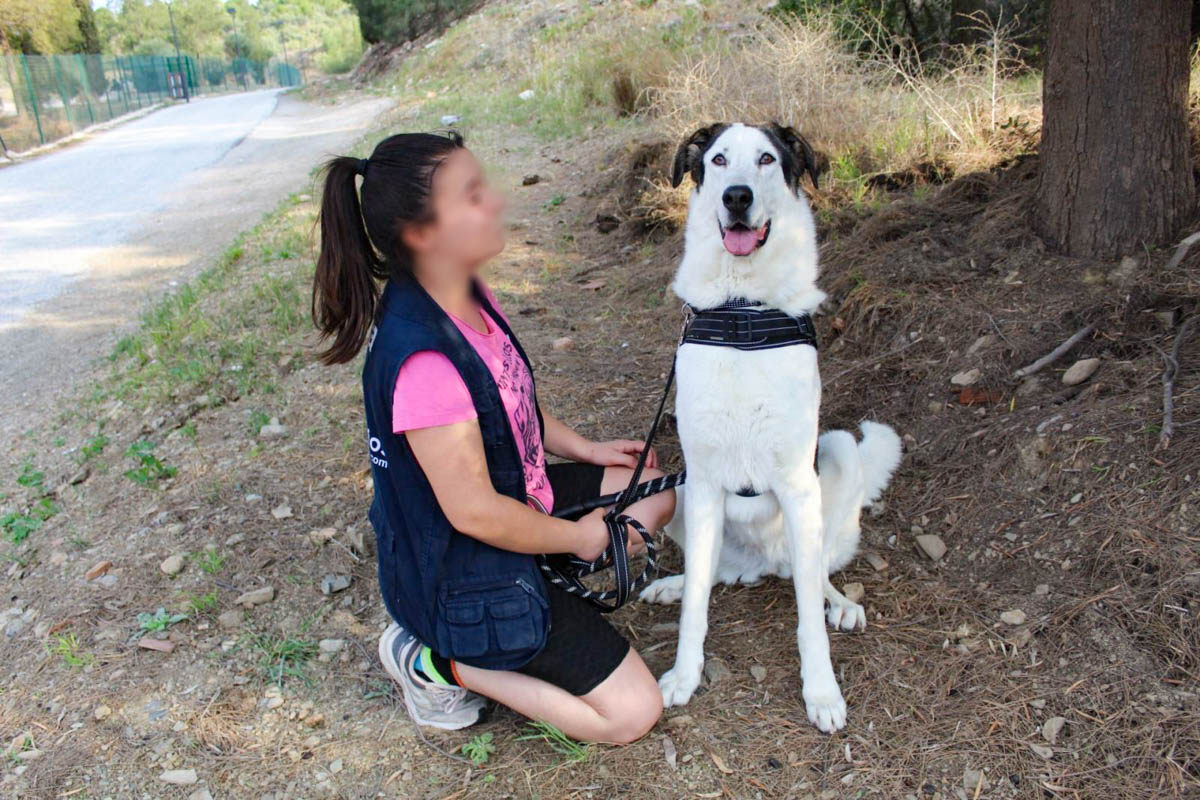 neues Foto März 2026