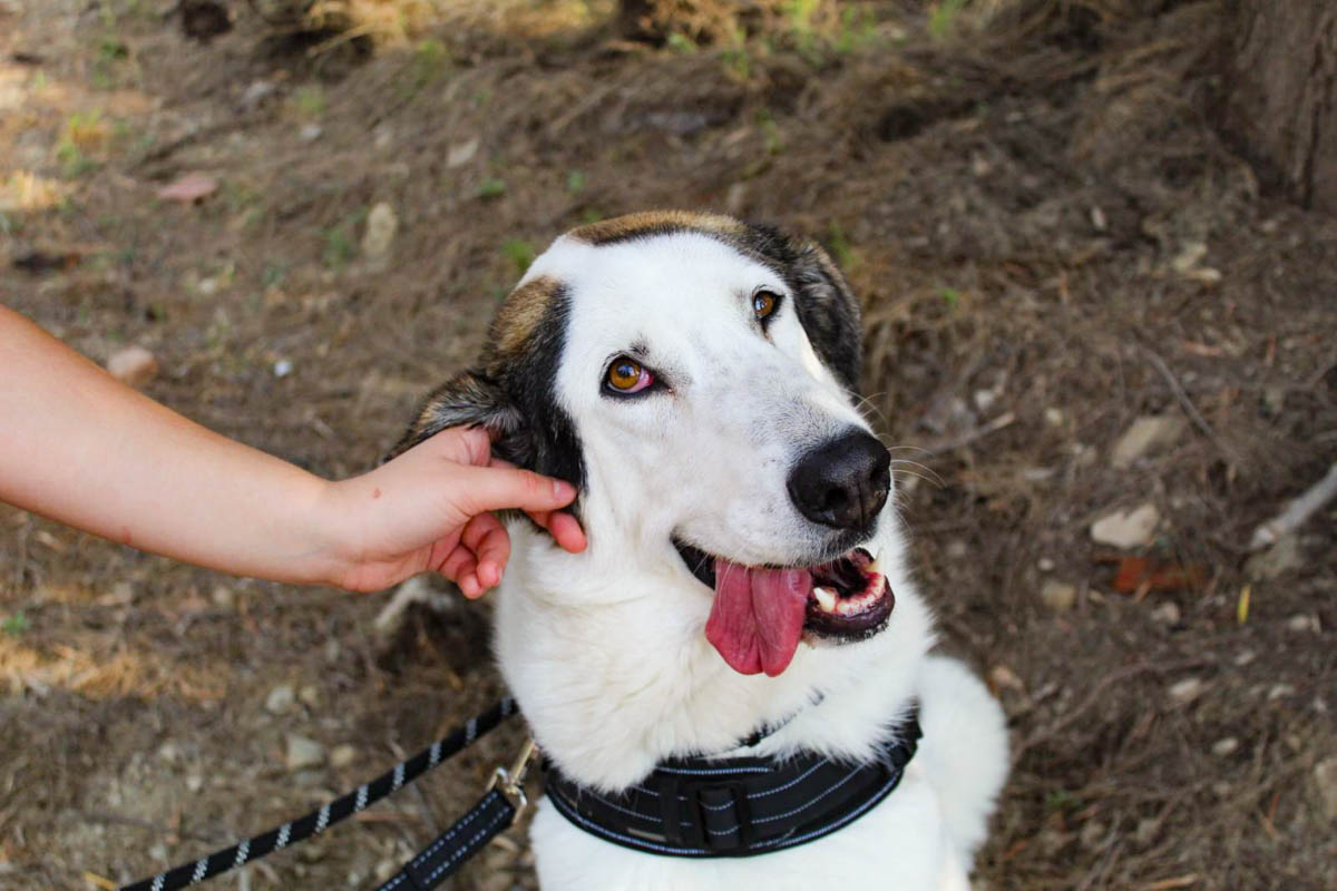 neues Foto März 2026