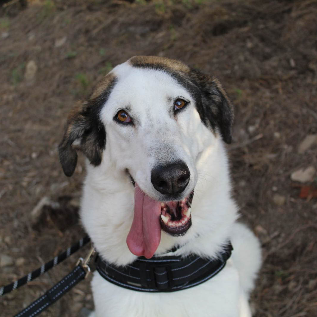 neues Foto März 2026