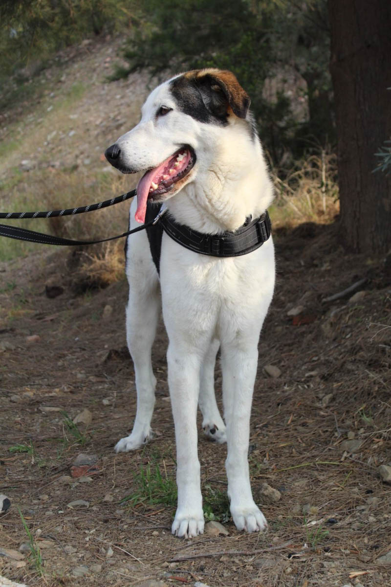 neues Foto März 2026