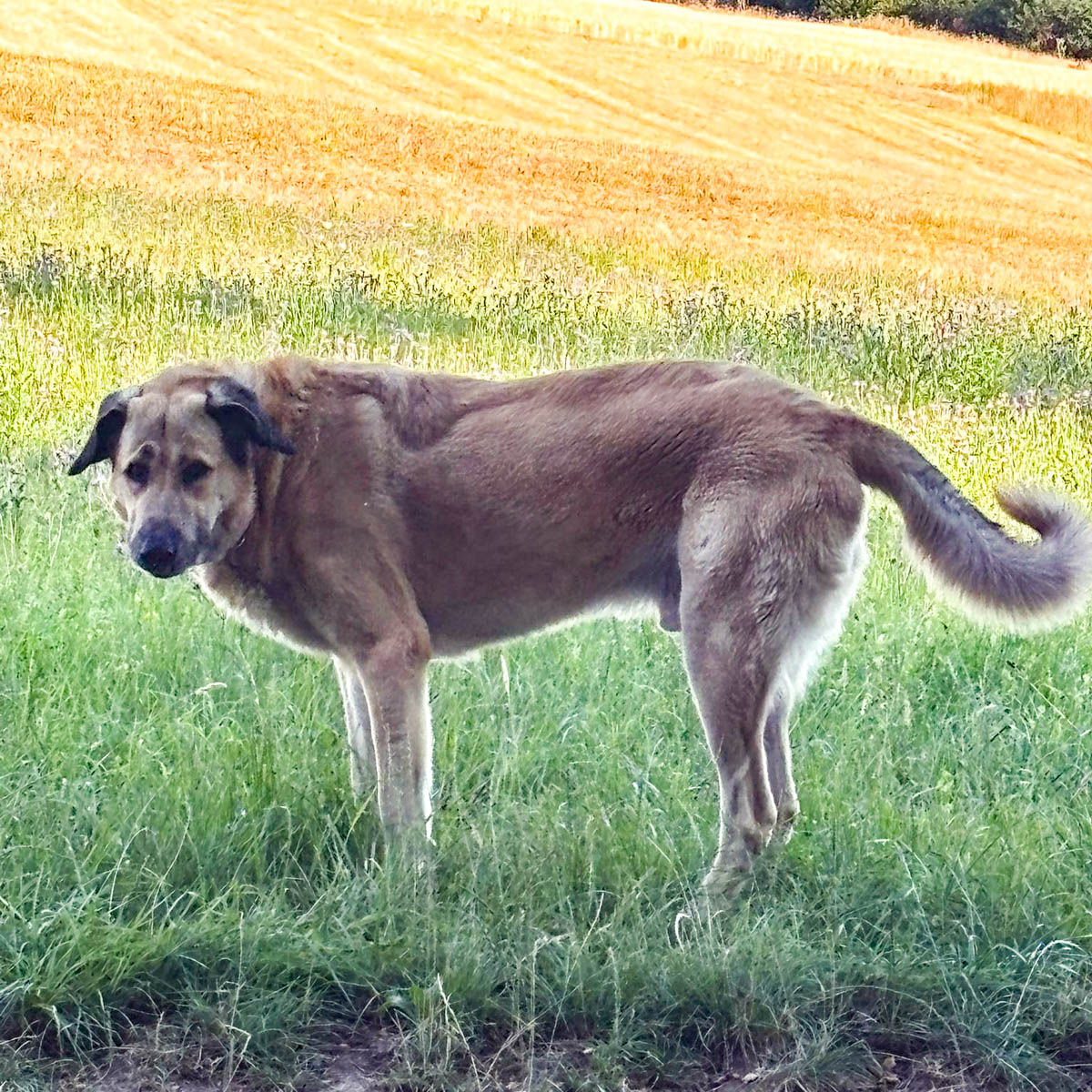 neues Foto März 2026