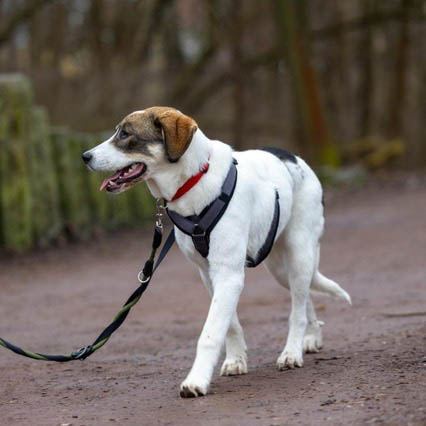 neues Foto März 2026