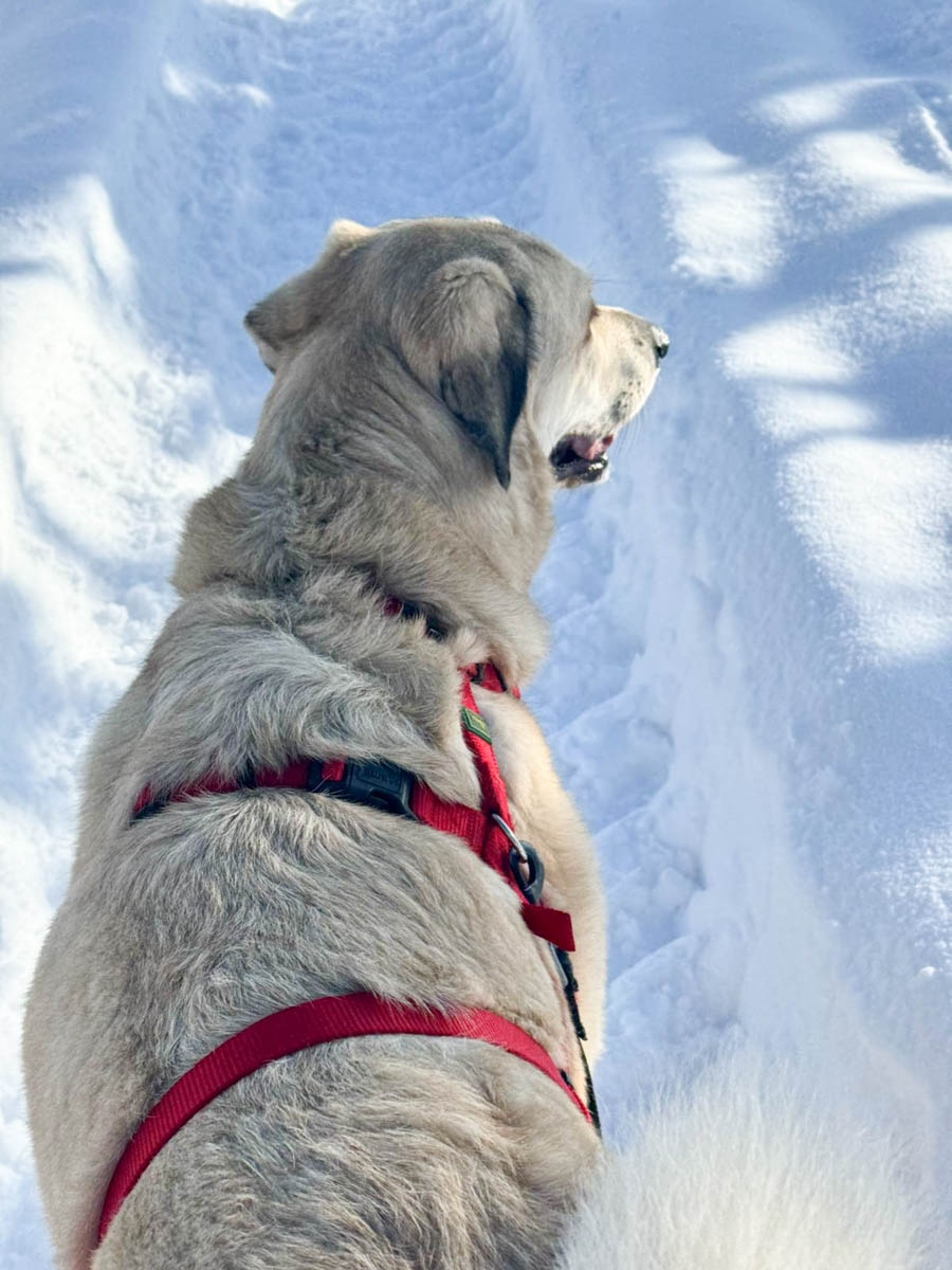 neues Foto März 2026