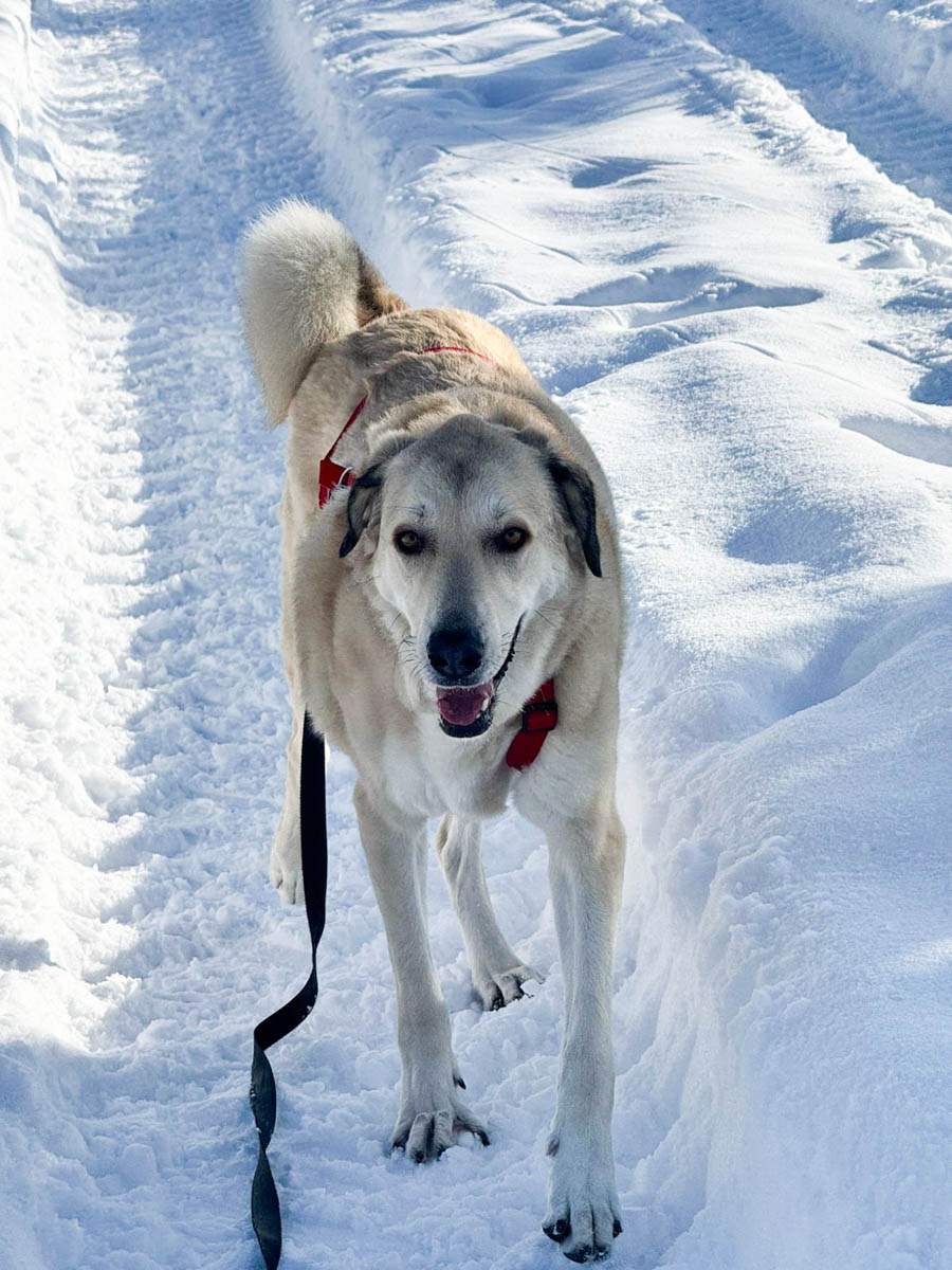 neues Foto März 2026