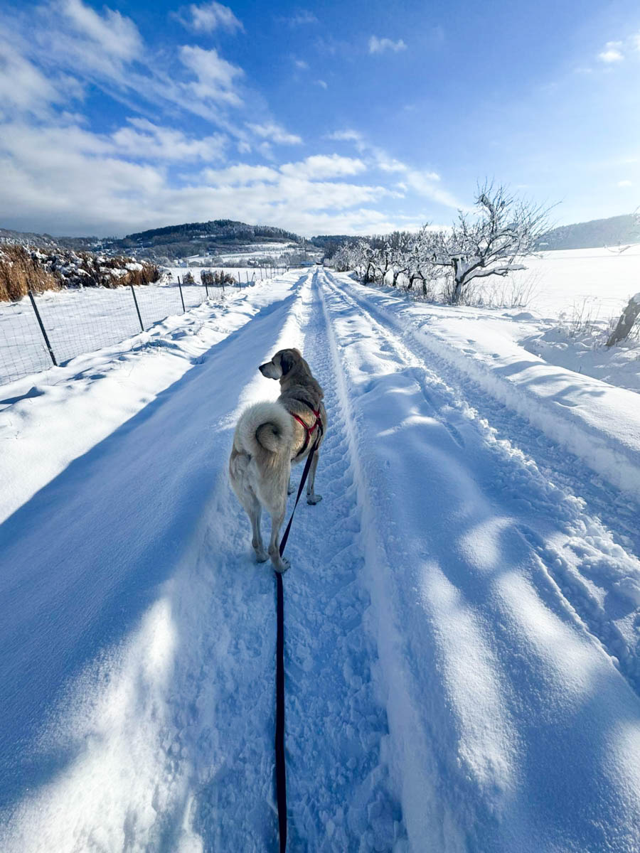 neues Foto März 2026
