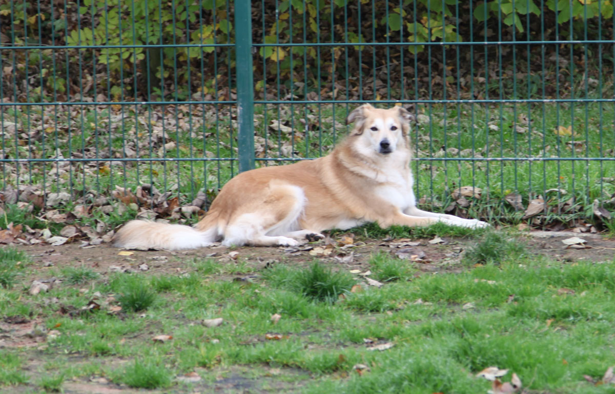 neues Foto März 2026