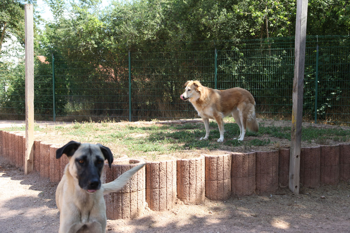 neues Foto März 2026