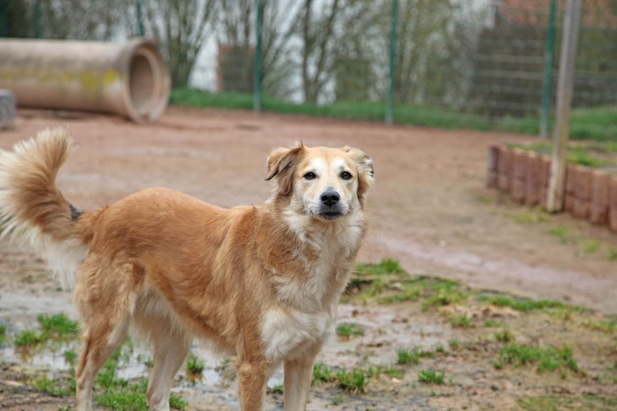 neues Foto März 2026