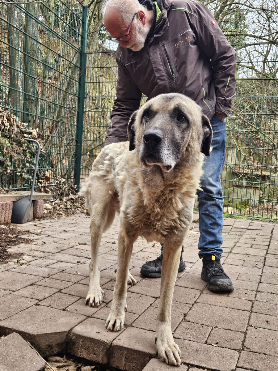 Emeth bei seiner Ankunft