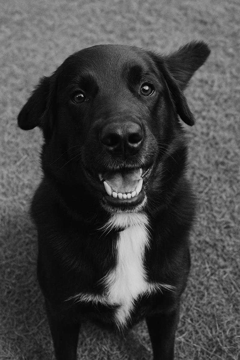 neues Foto März 2026