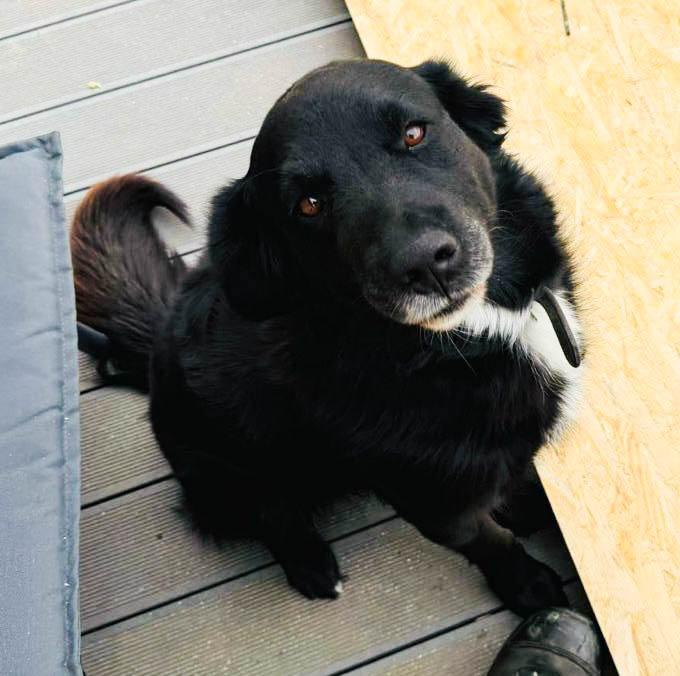 neues Foto März 2026