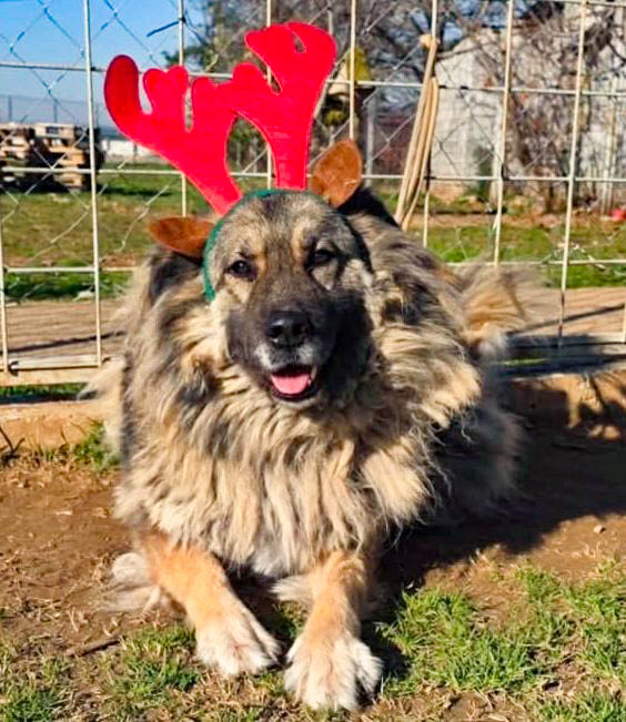 neues Foto März 2026