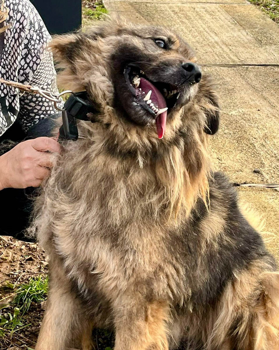 neues Foto März 2026