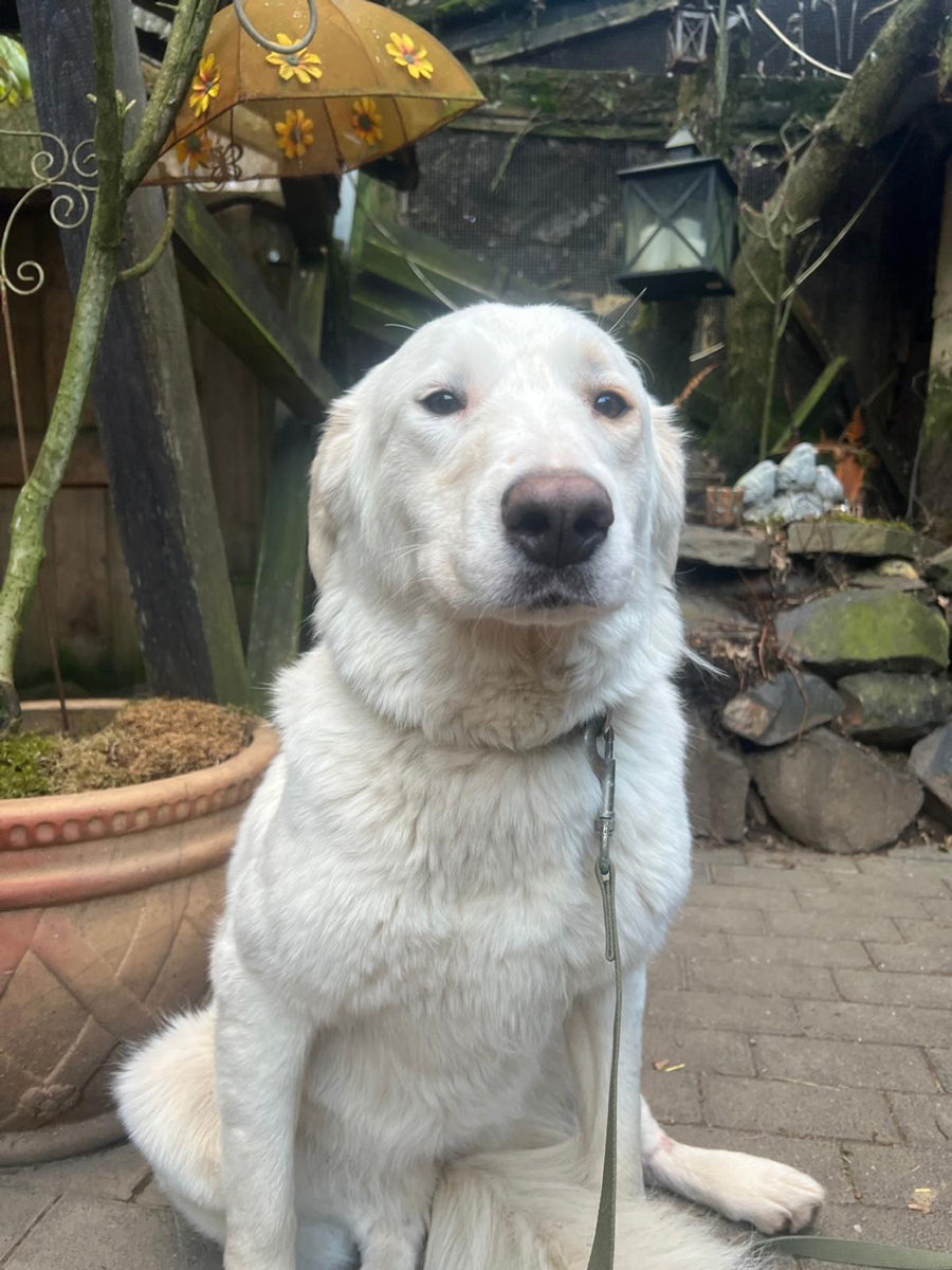 neues Foto März 2026