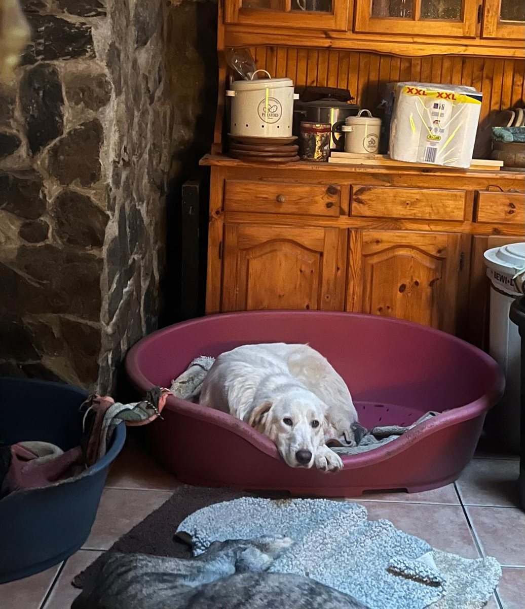 neues Foto März 2026