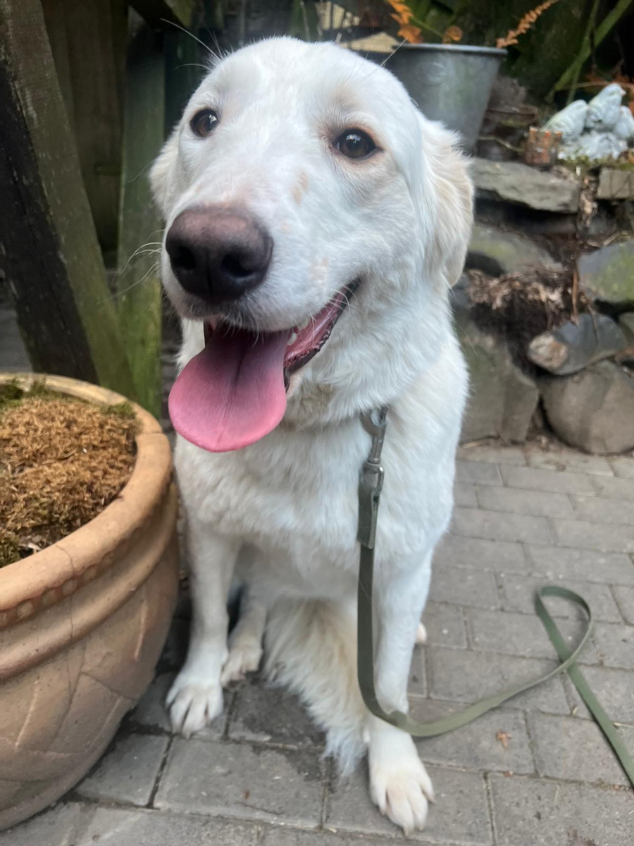 neues Foto März 2026