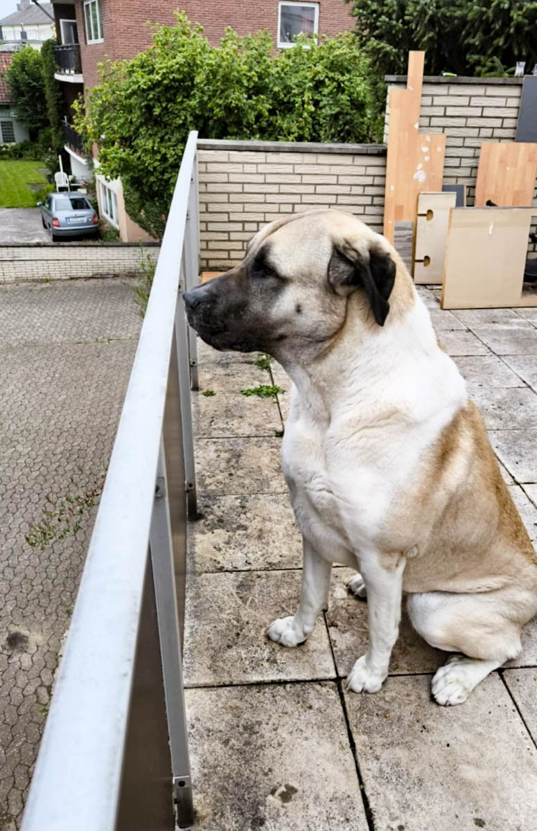 neues Foto März 2026