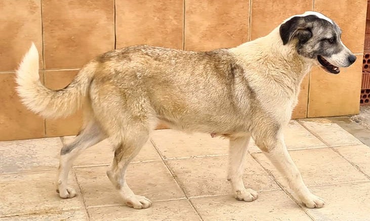 neues Foto März 2026