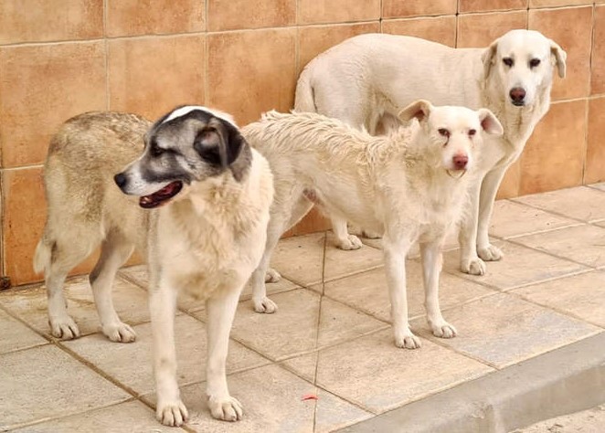 neues Foto März 2026