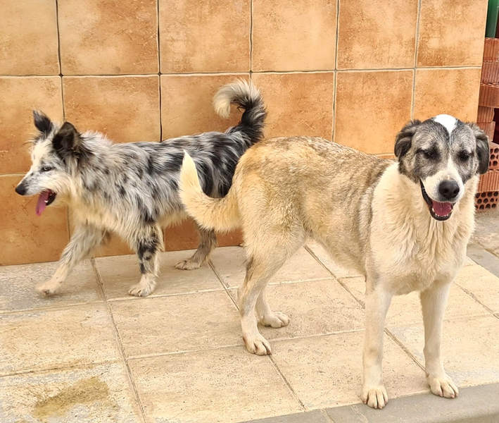 neues Foto März 2026