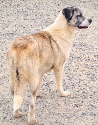 neues Foto März 2026