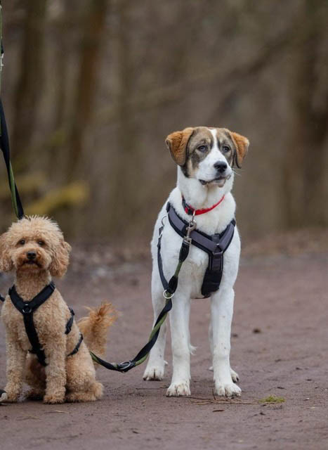 neues Foto März 2026