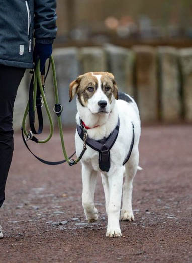 neues Foto März 2026