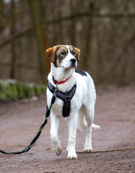 neues Foto März 2026