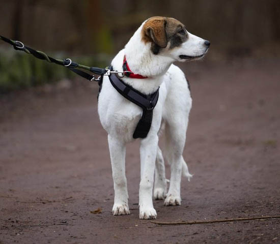 neues Foto März 2026