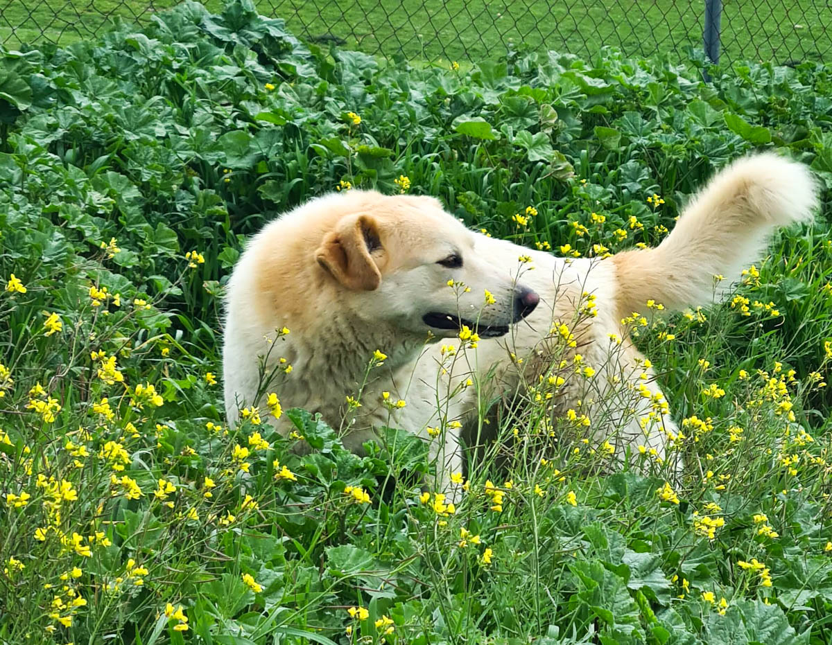 neues Foto März 2026