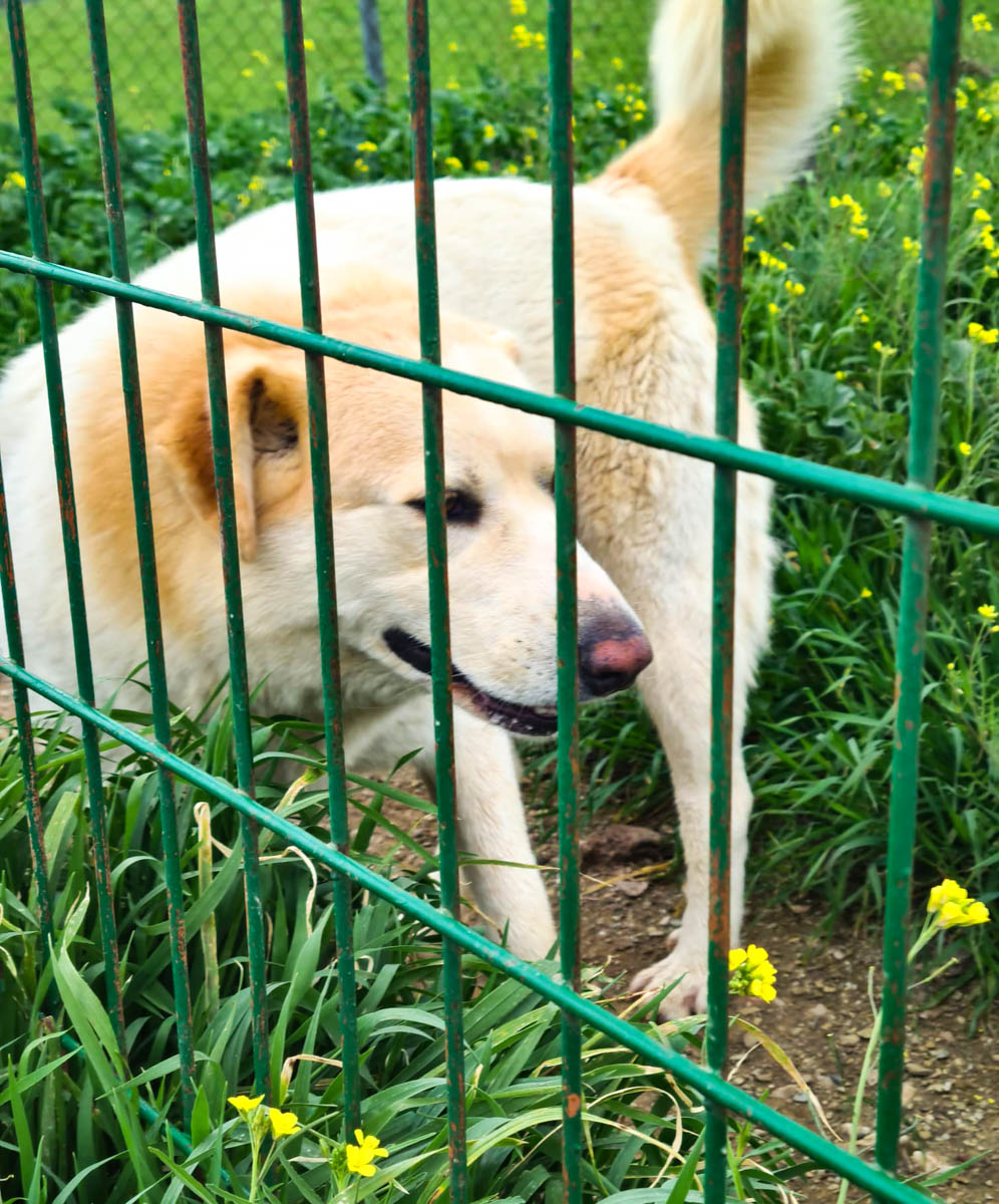 neues Foto März 2026