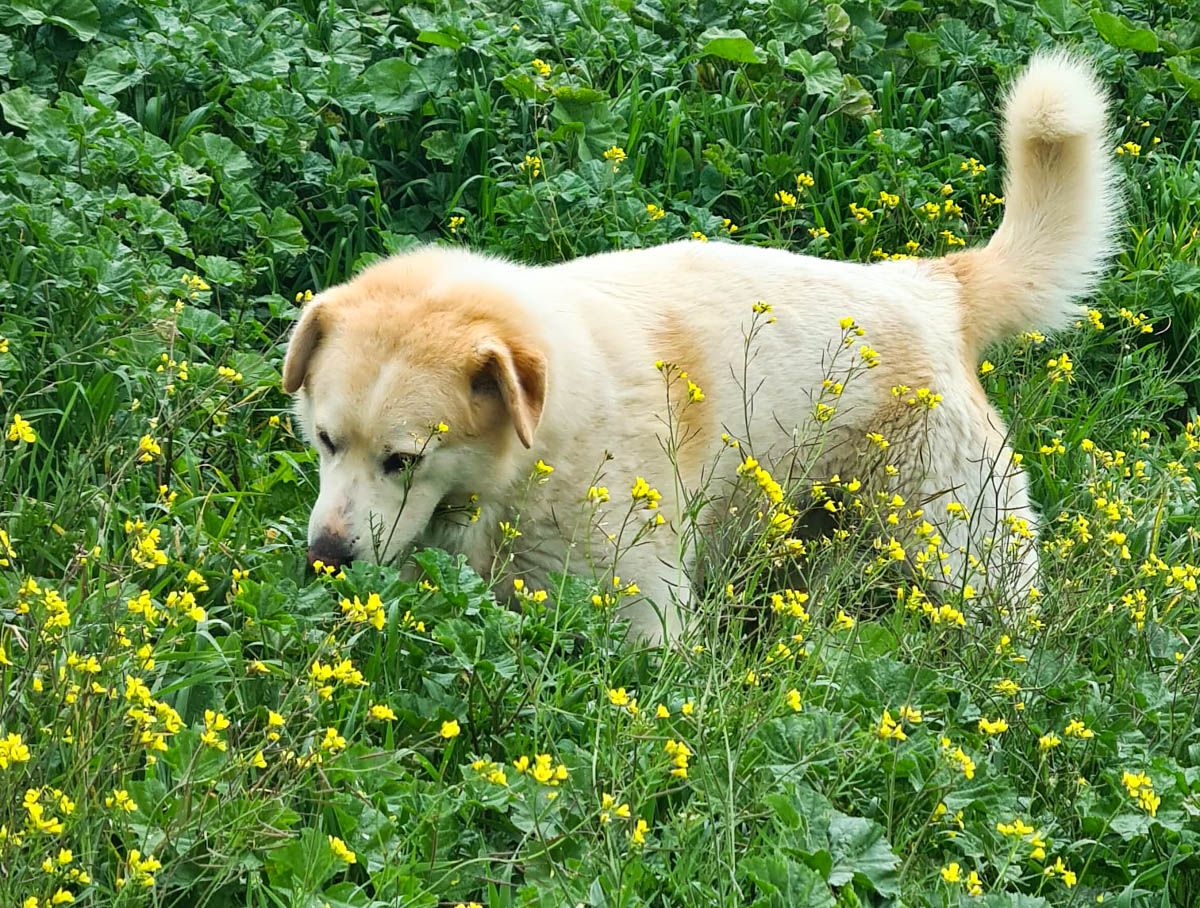 neues Foto März 2026